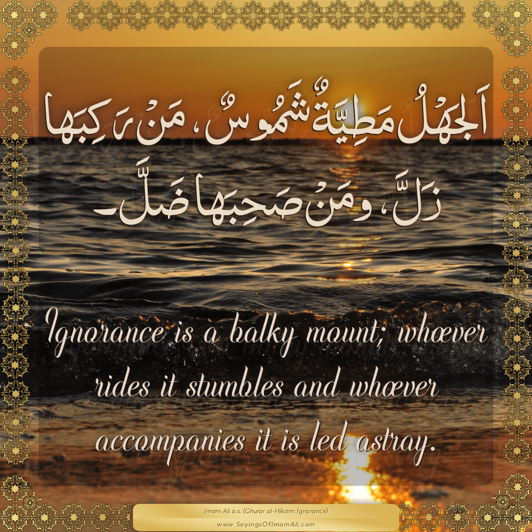 Ignorance is a balky mount; whoever rides it stumbles and whoever...